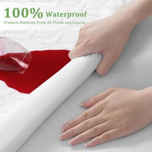 Premium 100% Waterproof Full Size Mattress Protector